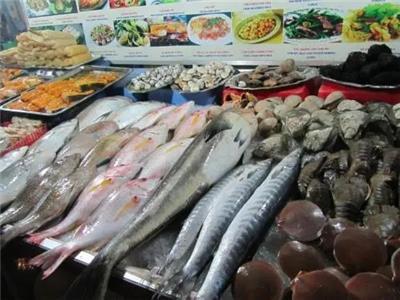 水產魚類市場全景 價格、行情、展會與供應鏈解析